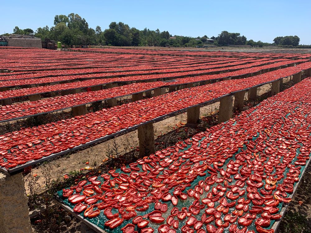 вяленные помидоры италия