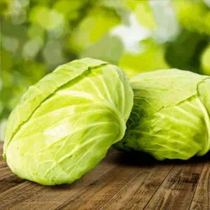 свежая капуста